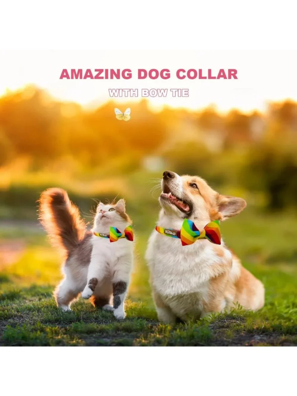 Rainbow Dog Collar with Bow Tie - Adjustable, Comfortable for All Pets - Pride